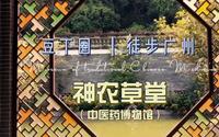 豆丁圈｜徒步广州 神农草堂中医药博物馆