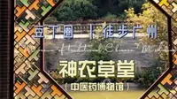 豆丁圈｜徒步广州 神农草堂中医药博物馆
