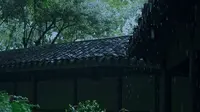 寄畅园雨
