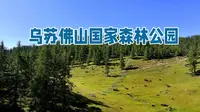 新疆乌苏佛山国家森林公园