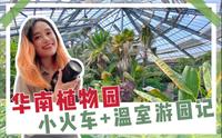 广州旅游｜华南植物园.小火车游园+温室群感受热带雨林景观.亲亲大自然