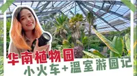 广州旅游｜华南植物园.小火车游园+温室群感受热带雨林景观.亲亲大自然