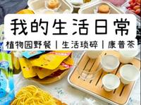 泉州植物园野餐｜生活琐碎｜康普茶