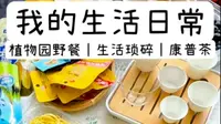 泉州植物园野餐｜生活琐碎｜康普茶