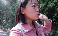 西双版纳中科院热带植物园东区，绿石林原始森林