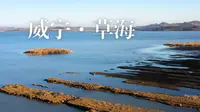 威宁草海
