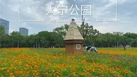 上海大宁公园vlog