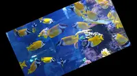 必须去趟长沙海底世界！