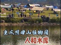 我们重庆人是有多喜欢晒太阳啊？照母山植物园人和水库边挤满帐篷