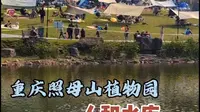 我们重庆人是有多喜欢晒太阳啊？照母山植物园人和水库边挤满帐篷