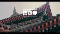 青海西宁塔尔寺，c-log3（佳能R6，RF35/1.8）