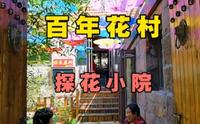 威海石岛赤山脚下有处百年“花村”车脚河，花村里藏着一座探花小院。