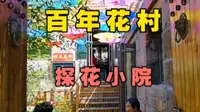 威海石岛赤山脚下有处百年“花村”车脚河，花村里藏着一座探花小院。
