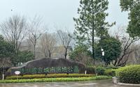 镜湖国家城市湿地公园认识植物