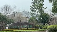 镜湖国家城市湿地公园认识植物