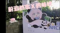 蔚蓝档案X雅安文旅 碧峰峡旅行打卡记录