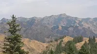 乌鲁木齐南山苜蓿台生态园，治愈了我……