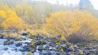 2025.9.16号的阿尔山三潭峡