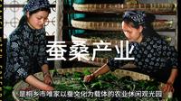 桐乡市蚕桑产业观光园