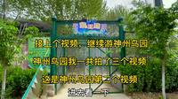 河南省漯河市，神州鸟园，鸟王国，孔雀东南飞