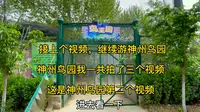 河南省漯河市，神州鸟园，鸟王国，孔雀东南飞