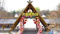 赏花季 济南植物园