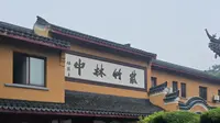 普陀山南海观音紫竹林禅院：跟西游记里不一样，没有竹子，更没有黑熊怪