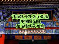 洛阳牡丹花会主会场之一，中国国花园赏牡丹花攻略及旅游路线，第一次来洛阳看牡丹花的朋友一定要看