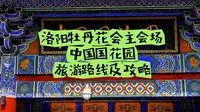 洛阳牡丹花会主会场之一，中国国花园赏牡丹花攻略及旅游路线，第一次来洛阳看牡丹花的朋友一定要看