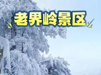 老界岭景区位于河南省南阳市西峡县北部，伏牛山南坡上部地段，总面积86平方公里。对外开放的区域有：分水岭游览区、仙人峰游览区和避暑山庄度假区 三个部分。