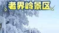 老界岭景区位于河南省南阳市西峡县北部，伏牛山南坡上部地段，总面积86平方公里。对外开放的区域有：分水岭游览区、仙人峰游览区和避暑山庄度假区 三个部分。