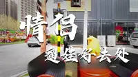 【Vlog游记】郑州油化厂半日漫游｜皮衣、猫咖与不期而遇的晴天
