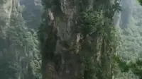 阿凡达悬浮山取景地“哈利路亚山”的乾坤柱，一柱擎天的独特风貌