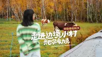 不去禾木也不去白哈巴！阿勒泰这个边境小村，才是秋日里的隐藏宝藏🍁原始自然，游客巨少，可以独享满眼金黄！齐巴尔希力克，你就要这样，你可千万别火，拜托了！