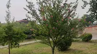 河南安阳韩王庙