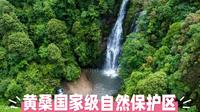 探秘黄桑国家级自然保护区：绿野仙踪里的避暑胜地与生态奇观