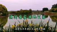 读诗经游淇河《淇河国家湿地公园》华为手机拍摄