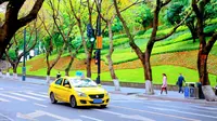 “重庆最美一条街”中山四路