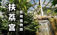 昆明扶荔宫温室科普游，讲解员知识点输出太多，我脑子有点不够用