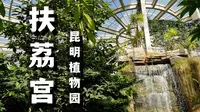 昆明扶荔宫温室科普游，讲解员知识点输出太多，我脑子有点不够用