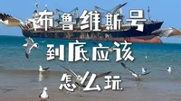威海布鲁维斯号超全保姆级攻略！