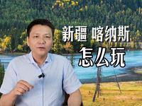 16天做出来的，1万平方公里的大景区 喀纳斯，怎么玩