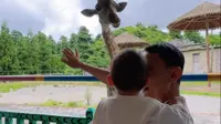 外地人“吐槽”贵州旅游！因为太良心！太凉快！太好玩！全家来贵州森林野生动物园咯！