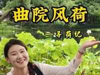 第一次来曲院风荷怎么玩
