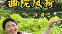 第一次来曲院风荷怎么玩