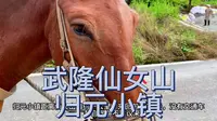 仙女山归原小镇