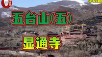 五台山必来的显通寺｜山西五台山旅游｜五｜李毅勤的秀｜第744集｜20231116