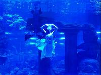 必看！兰州极地海洋世界的梦幻之旅