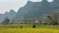 踏上阳朔徒步之路，与遇龙河邂逅，感受大自然的魅力！