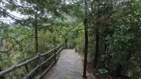 24.10.1张家界空中田园（下）